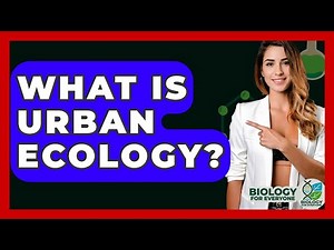 What Is Urban Ecology? - Biology For Everyone