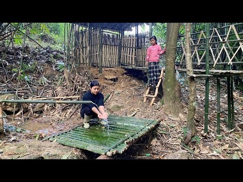 REWIND TIME LAPSE: START to FINISH Alone Construction Bamboo House - BUILD WOODEN BRIDGE with Bamboo