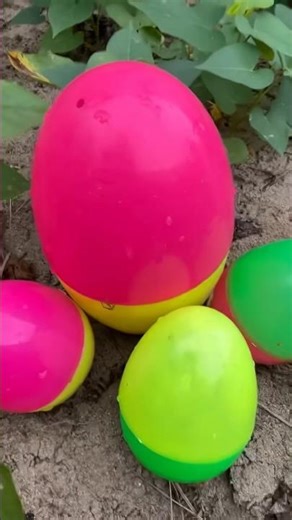 Color Explosion! Fish Swimming Everywhere! 💥🐠 #fishpetfun #funny #toyfancy #funnyfish #toys