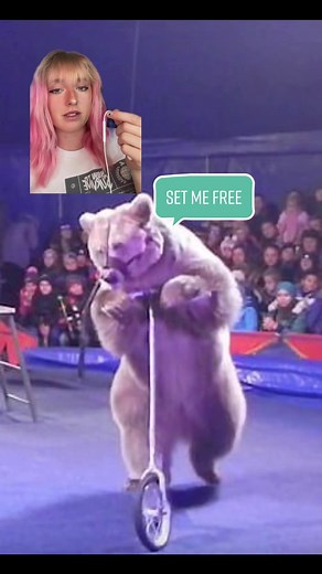 Crazy Creatures (@crazycreaturesshow)’s videos with Minecraft - C418