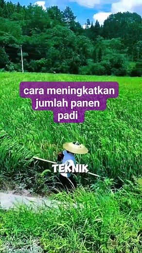 17K views · 31 reactions | #tutorial #populer | Berlian Alesh Page | Facebook