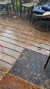 The National Weather Service Storm Prediction Center has issued a Severe Thunderstorm Watch for portions of Lower Michigan. This is in effect roughly along and south of a Traverse City-Alpena line, Monday afternoon and evening from 3:10 p.m. until 10 p.m. This video shows some hail in Elk Rapids that has started. Read more on this weather alert here: https://upnorthlive.com/news/local/severe-weather-alert-thunderstorms-could-bring-gusts-up-to-70-mph-across-lower-michigan | UpNorthLive