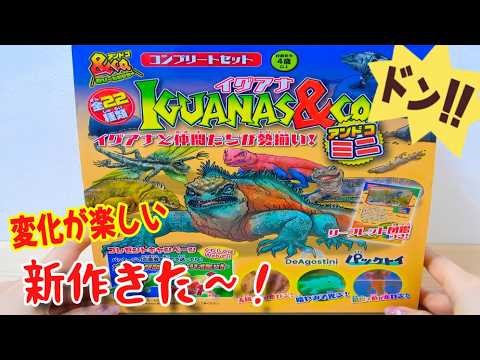NEW! IGUANAS & co. Complete Box Set by DeAgostini