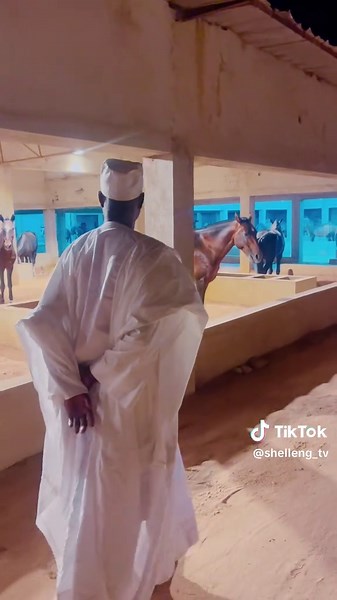 Gombe and Shelleng Cultural Events on July 8, 2025