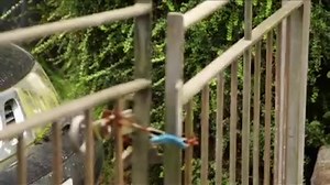 3.3K views · 37 reactions | New neighbours. New nightmares. Tune in 8pm tonight. #NightmareNeighbour | Channel 5 | Facebook