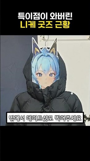 특이점이 와버린 니케 굿즈 근황