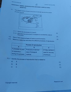 Question 4: Animal Reproduction and Basic Agricultural Genetics... | Filo
