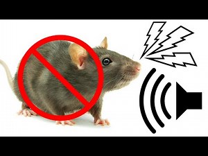 Sonic Pest Remover Remove Any Rodent - High Pitch Sound Get Rid Of Mice