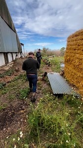 Putting our terriers to good use on the farm minimising using rodenticides (poisons) | VermiCure Pest Control