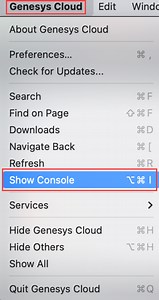 Gather network logs on the desktop app - Genesys Cloud Resource Center