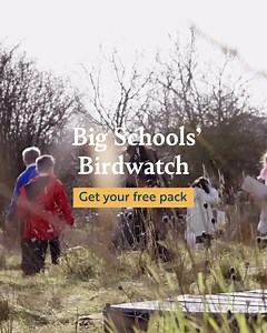 1.2K views · 26 reactions | Join thousands of other schools for Big Schools’ Birdwatch 2024 | RSPB | Facebook