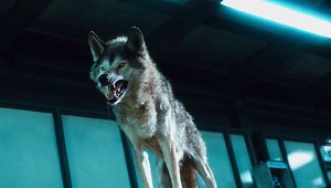 1M views · 10K reactions | #Hollywood #fast #videos #clip #in #facebookpost #movie #part1 #supar #hit #latest #2024 #marvel #marvelcomics #Netflix #viral #trendingreelsvideo #HollywoodSmile #gamingvideos #thelionking #viralindonesia #marvelcomics #marvelstudios #marvelmovies #marvel #viralindonesia #moviescenes #world #bestactionmovie #movieclips | Movie short | Facebook