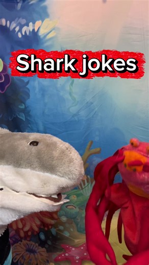 Shark jokes#puppets #puppetsoftiktok #puppetshow #fyp