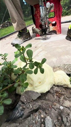 This Isn’t a Temporary Fix 😳 Foam Supports Concrete for Decades
