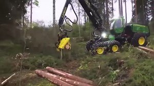 High-Speed Woodworking: 17 Fast Sawmill Machines You Must See