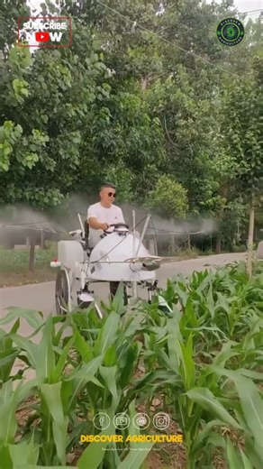 Introducing the innovative Pesticide and Insecticide Spraying Machine - a game-changer in pest control! This powerful device efficiently disperses chemicals to combat insects and pests, ensuring effective protection for crops and gardens. With its precision technology, it ensures thorough coverage while minimizing environmental impact. Say goodbye to worrying about pest infestations with this cutting-edge solution. Upgrade your pest management routine today with the Pesticide and Insecticide Spr