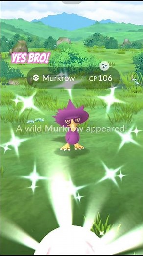 Yes bro! Shiny Murkrow in Pokemon Go! #yesbro #pokemon #shinypokemon #murkrow #pokemongo #shiny #fun
