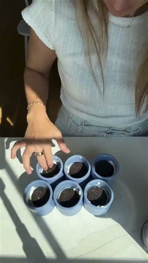 Basically a homemade chobani flip