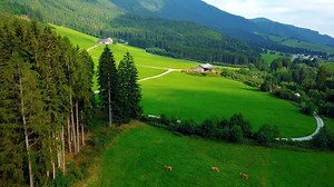 ✅DJI Mavic Mini  Highlights :  Lightweight Design at Under 9 oz ...