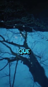 Yo te quiero - Dc Reto | Mundo Musical