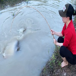 47K views · 927 reactions | Trapping river monster with giant mantis shrimp to survive | Survival with Emma | Facebook