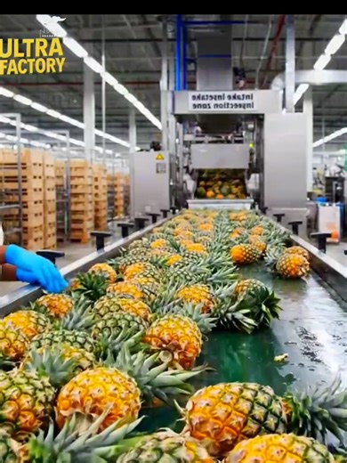 Pineapples Are Turned into Canned #pineapples #fruit #viralvideos