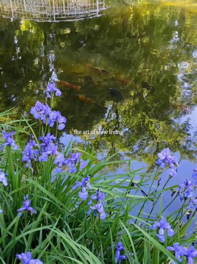 some days are not meant to be filled they are meant to be lived slowly without adding more without reaching ahead nothing is missing here nothing needs fixing just time allowed to move at its own pace 🤍