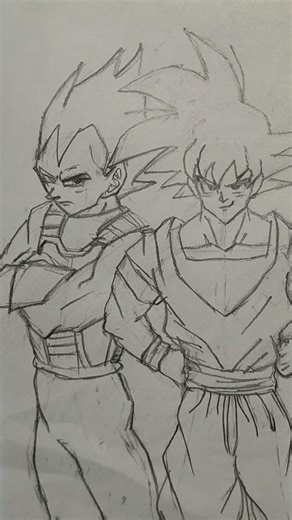 Drawing Goku And Vegeta.