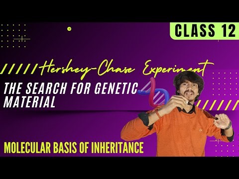 Hershey–Chase Experiment 🔥 Proof that DNA is Genetic Material | Molecular Basis of Inheritance