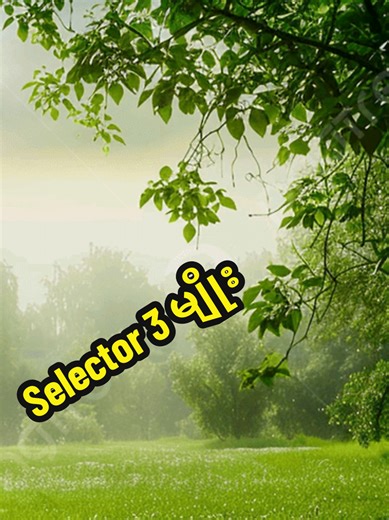 Selector in CSS or CSS DAY-4, Element , Class, ID Selector တို့ကို လေ့လာကြည့်ခြင်း။ #dailylessons #ပရိုဂရမ်ရေးနည်း #cssweb