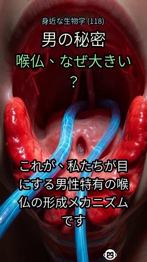 118. 男性の【喉仏】なぜあんなに目立つの？😲 誰も知らない青春期の謎を徹底解明！ #喉仏の謎 #男性ホルモン #声変わり #青春期 #人体解剖 #生物学 #知られざる事実