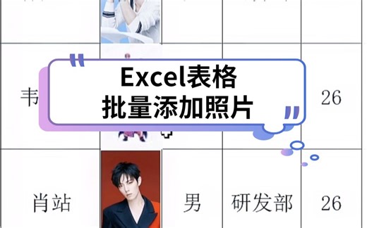 excel如何快速插入大量照片呢？一键调整照片小技巧来了~