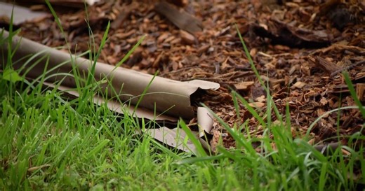 Virginia Home Grown:Cardboard for suppressing weeds Season 24 Episode 3