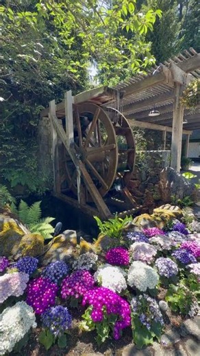 Beautiful Butchart Gardens 🌺 🌹 🌼