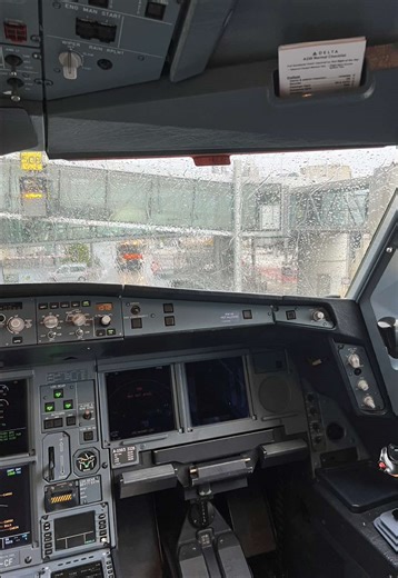 Exploring the Joy of First-Class Flights