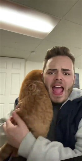 New content loading.. in the mean time, here’s a coot throwback 💙