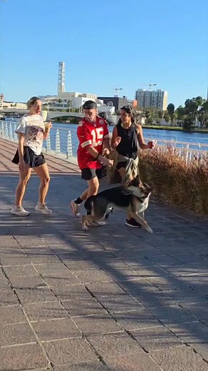 Dont scare dogs Mr Bushman. #bushman #doglovers #accident #funny #viral | Donald Breland