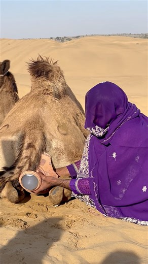 اِمْرَأَةٌ رِيفِيَّةٌ مُنْدَهِشَةٌ بَعْدَ رُؤْيَتِهَا شَيْئًا أَبْيَضَ يُشْبِهُ الرَّوْثَ يَخْرُجُ