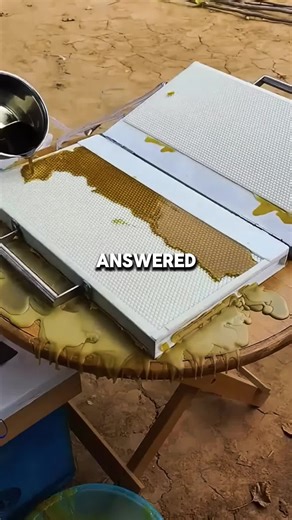 A Tense Encounter: Mystery at Home