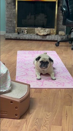 Coco’s workout on yoga mat.