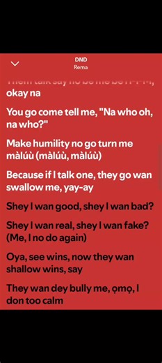 DND by Rema #spotify #song #fyp #nigeriansongs🇳🇬 #allmusiclyricsss @Rema