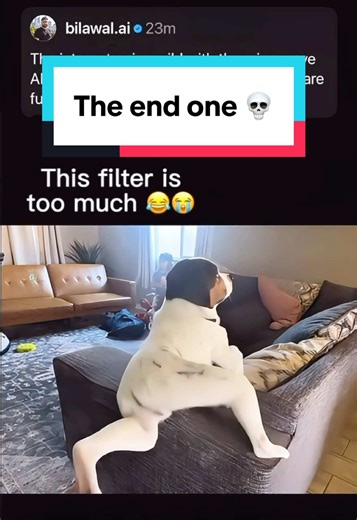 Microwave AI Filter Memes Compilation