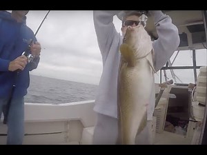 Offshore Wreck Fishing New Jersey For Cod fish