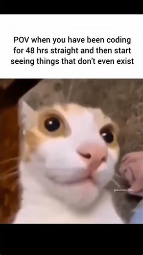 This Is What 48 Hours of Programming Does to Your Brain 🤯 | Coding | Programming