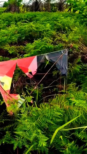 elite kite destroyed by rain