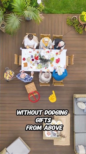 Flock Free Bird Control: Stop Birds From Ruining Your Deck for Good