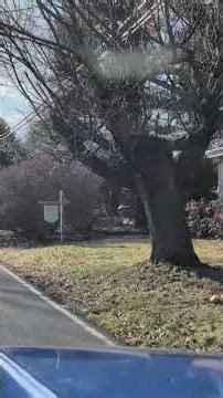 1964 Chevy C10 arriving home