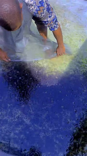 Creating a Beautiful Fish Pond