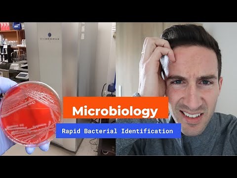 MALDI-TOF Mass Spectrometry - Microbiology