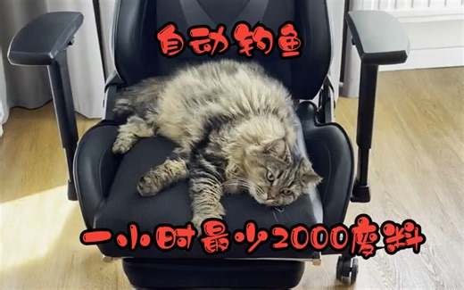 我的猫利用钓鱼帮我获取大量废料、一小时最少2000废料(Rust)